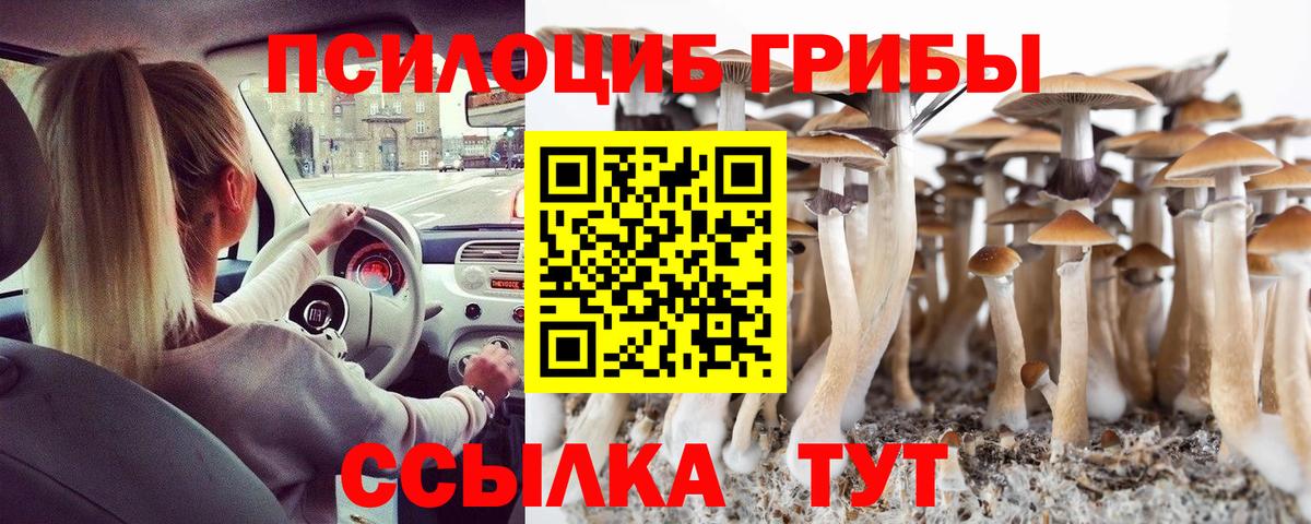 Псилоцибиновые грибы мухоморы Тавда