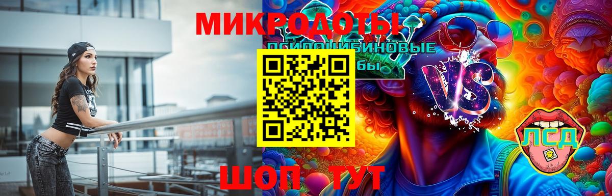 Тавда  Галлюциногенные грибы Cubensis  Вход с VPN 